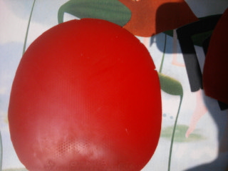 ��9�¶����F1  90����   ���ù�3�ε�NEO �켫3    20����   ����������ʷ��Ұ��� ������ī��  ��F1Ҳ���Ի�һ��39����40��ʡ������  ��֧���������ȿ�У�������һ