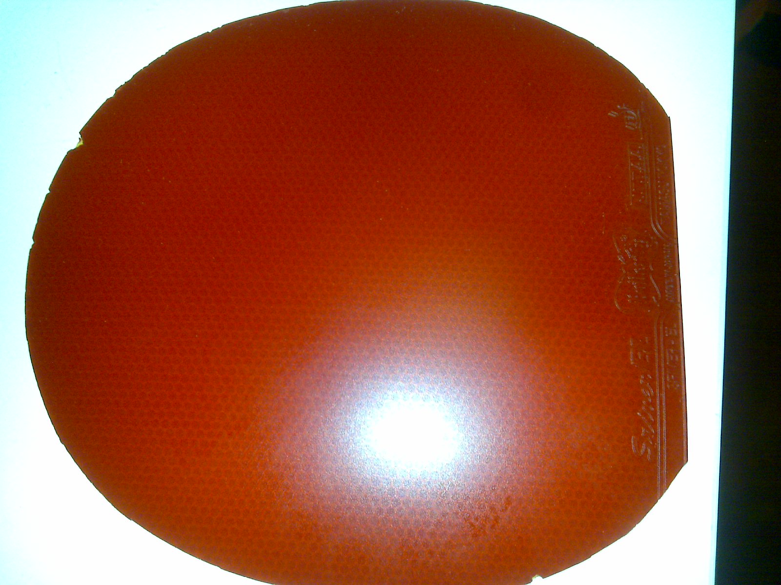 ƱʵCLEL