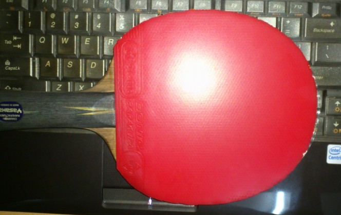 ����������.baracuda.