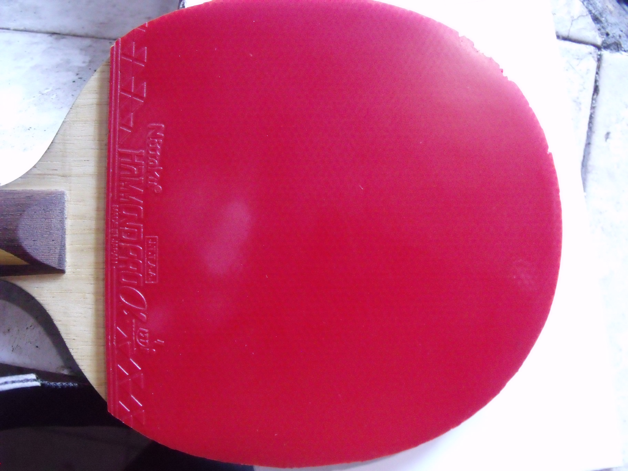 ���������ɫ���ᰢ����