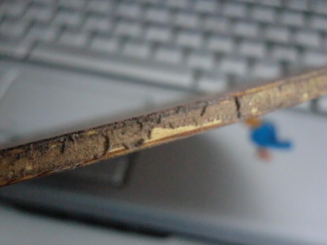 ��VIS���л�CL������CL�Ӵ󣬻Ʊ�OC���л�����OC��ͦ����̼�ʣ�֧��������