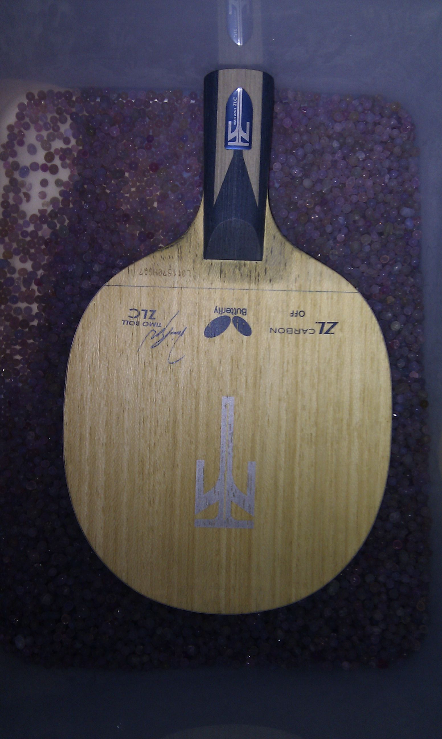 ��������ZLCһ��