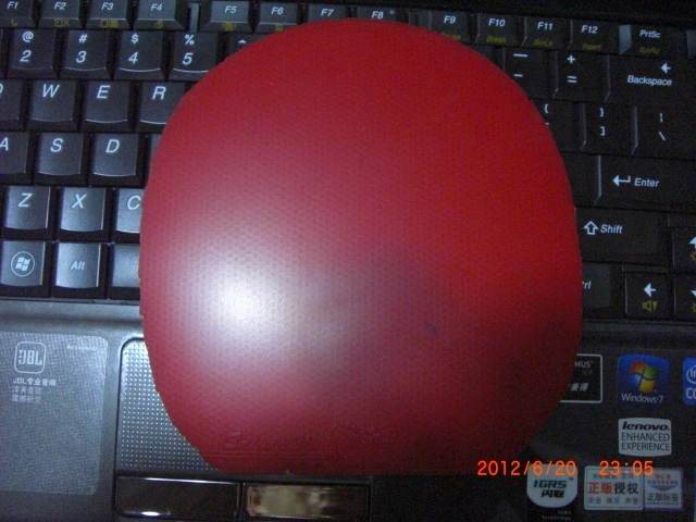 38����ʡ�� ����EL ���40���켫�� 100˳�ᵽ��