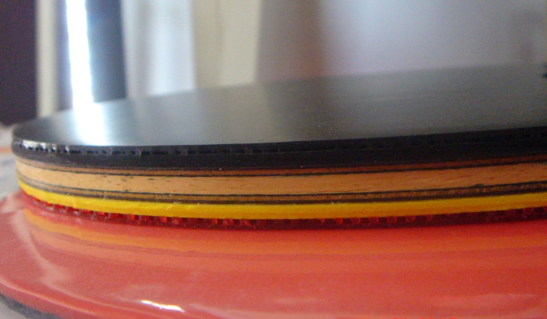 ֧������������裬�����ں���ѵ�����ͣ����99����~