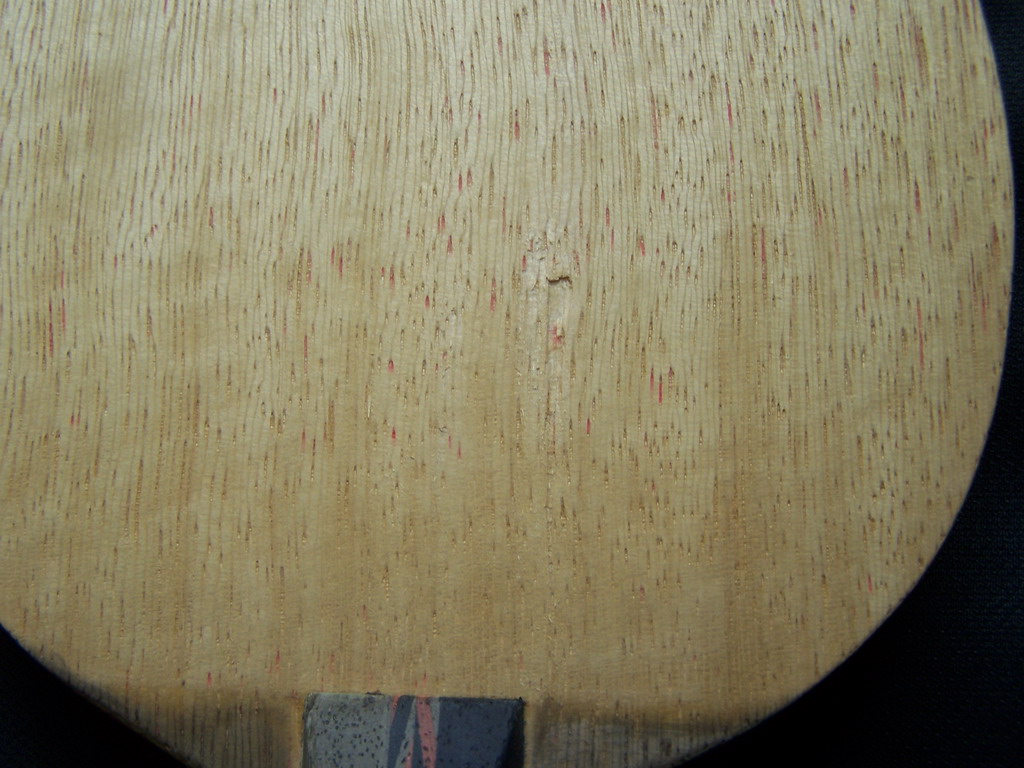 ���ѳ�һֻ506��