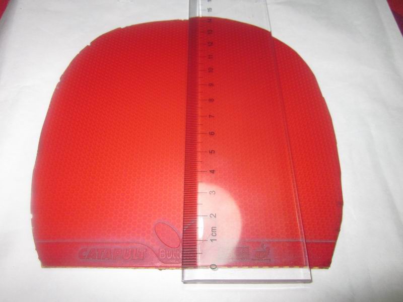 ����ֱ��ɫ��͡���ֱ��ɫcatapult����ɫt64����ɫsriver fx,֧��֧����