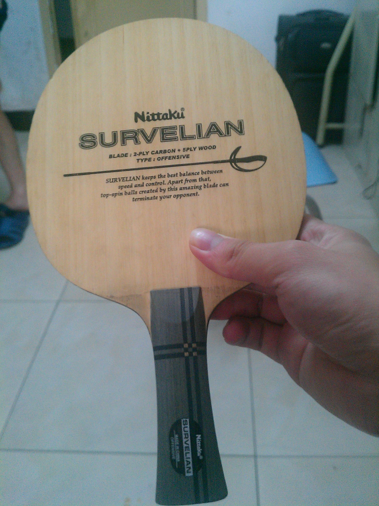 ��ɫ������������survelian��һ������Ӯ������