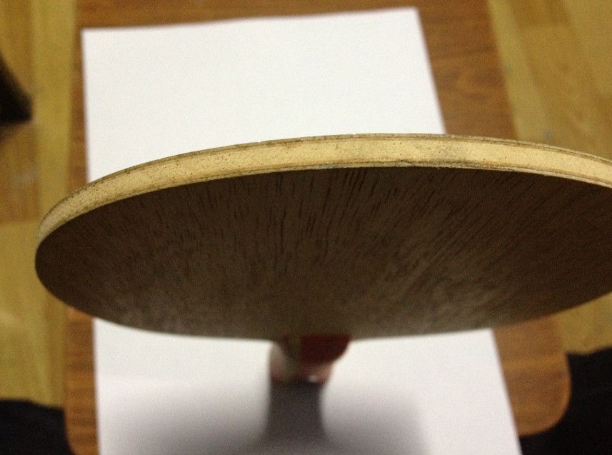 ŷ�����÷�Ȳ�����ά��÷���������������֧���Ұѣ�