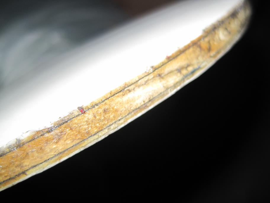 ���ճ�ŷ��ֱcc7��550����