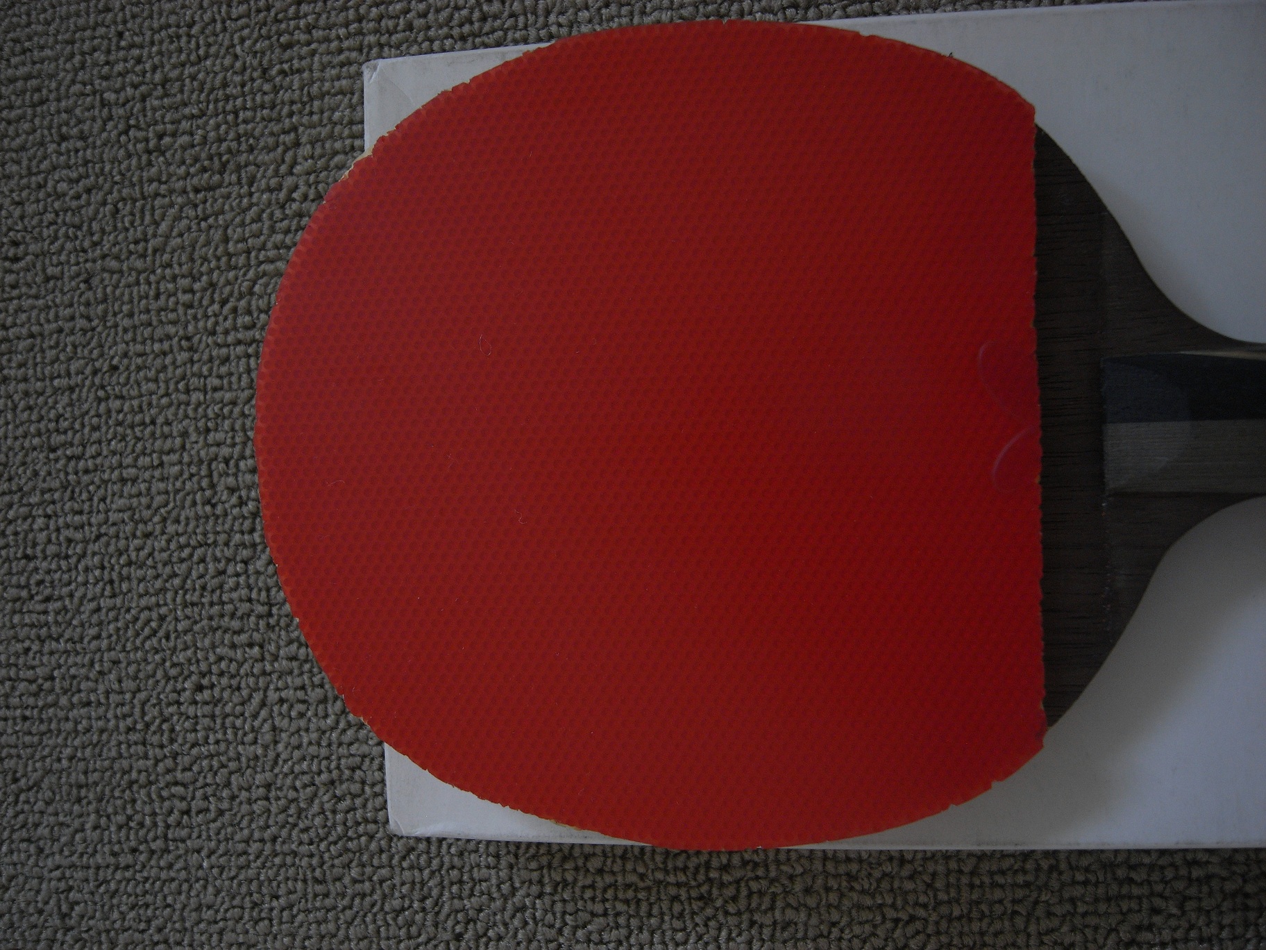 �����ѳ��л�����ֱ�������� �����