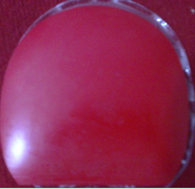 ��ֱ�İ����������ɫ40������������ɫ��