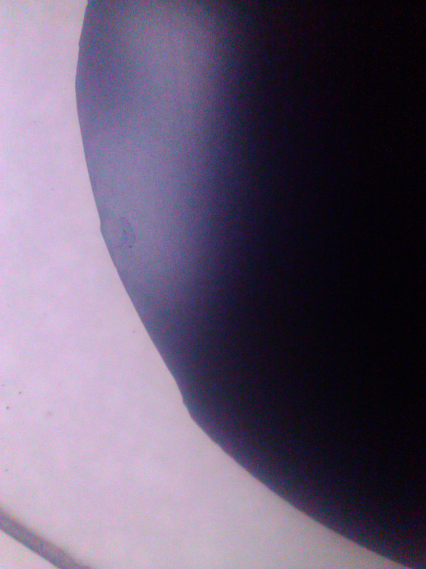 ����ɫ�����F1һ�ţ���ɫ�ã��۸��ţ������밡����