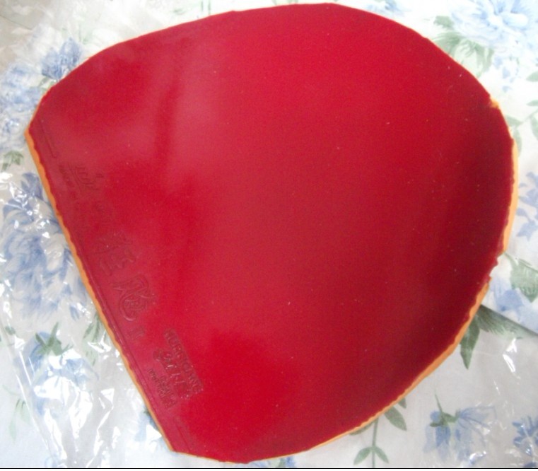 ���ѳ��������տ�������������ľ�ǣ��Ͽ��