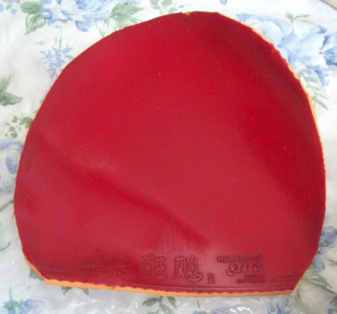 ���ѳ��������տ�������������ľ�ǣ��Ͽ��