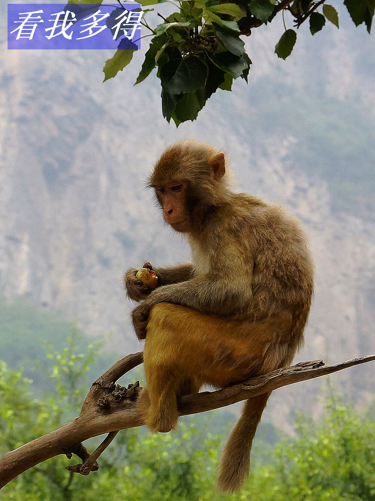 [ԭ]С˵&ڡĿ֮