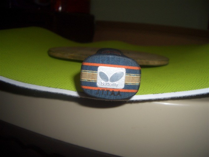 ���鲨����������