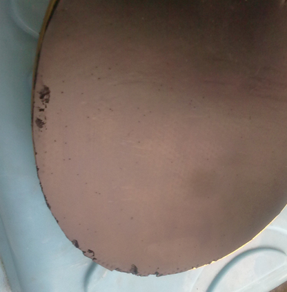 ���ͼ۳�˹����L  XIOMΪ�� 06ʡ�� 10ʡ��