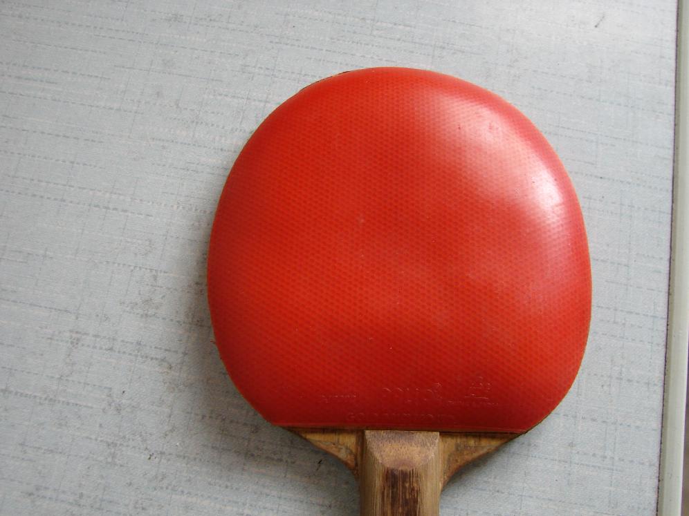 YE-stһֻ���׽����