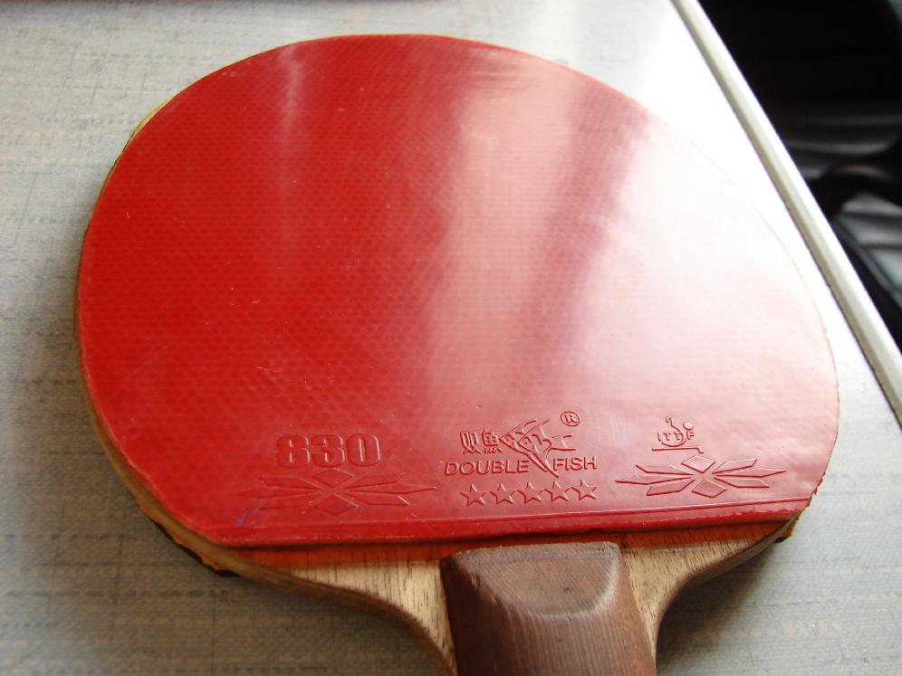 YE-stһֻ���׽����