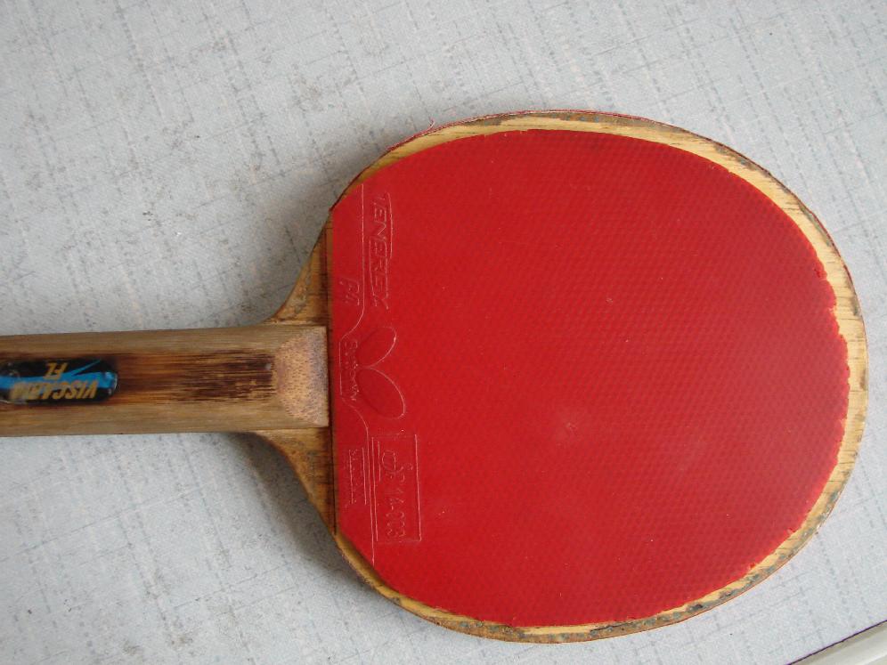 YE-stһֻ���׽����