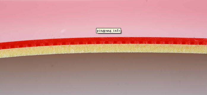 <FONT color=#006400 size=4><STRONG>[]Ӣ۱ʳάA+׽ѧн» </STRONG></FONT>