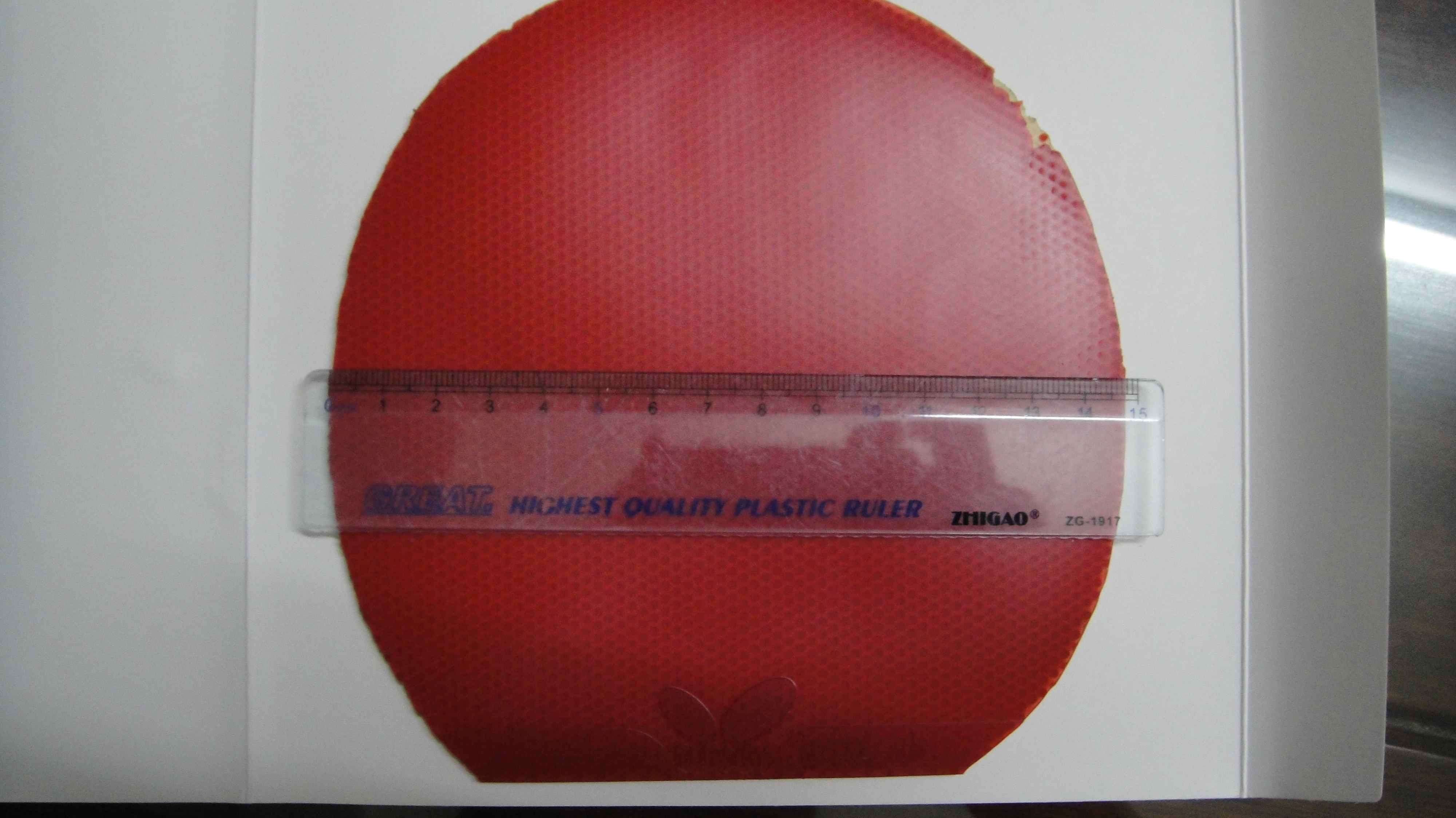 �ż̿ƺ��ĵװ�,���,F1.�տ�,ʡ����;��ӭ���