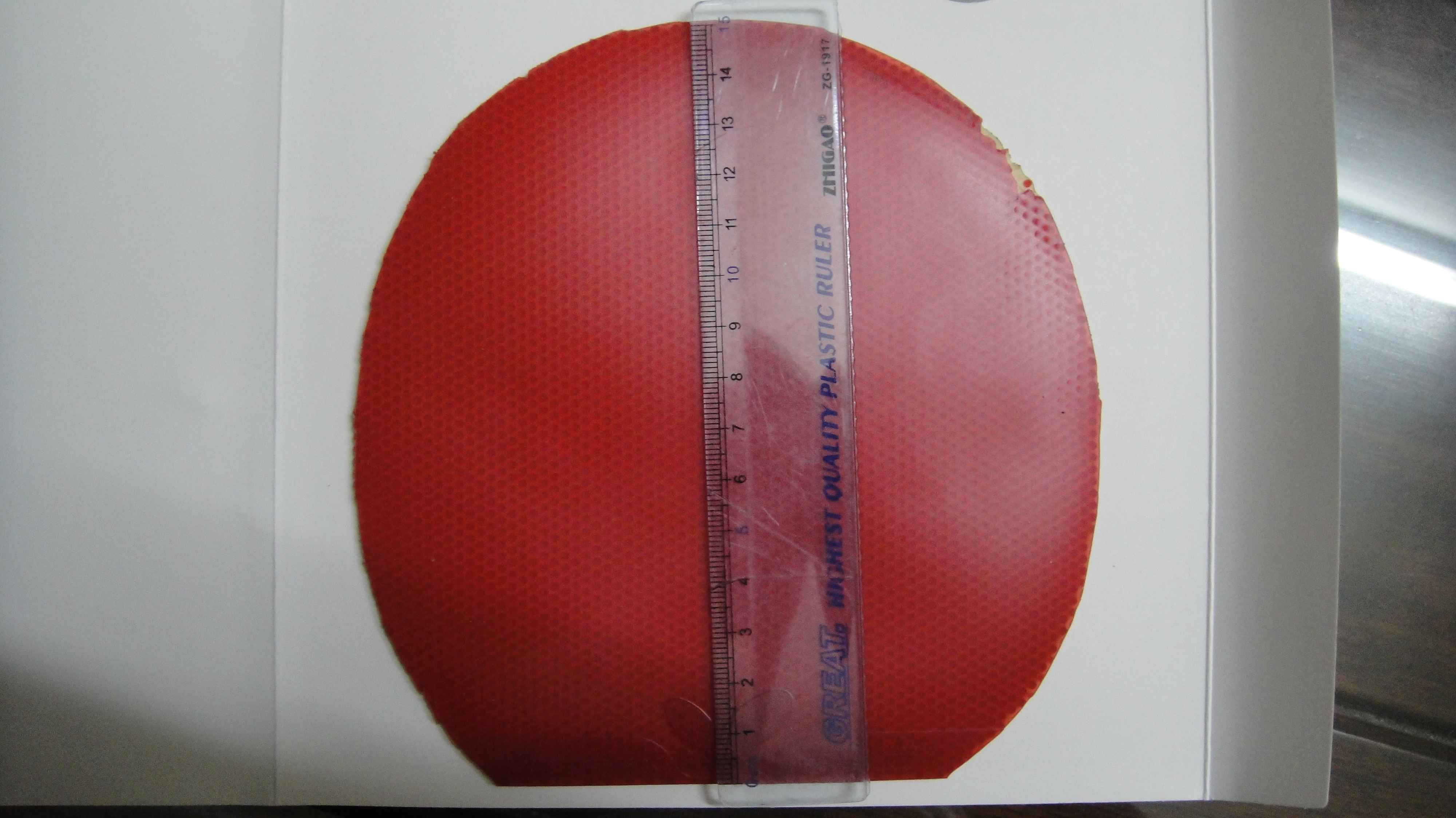 �ż̿ƺ��ĵװ�,���,F1.�տ�,ʡ����;��ӭ���