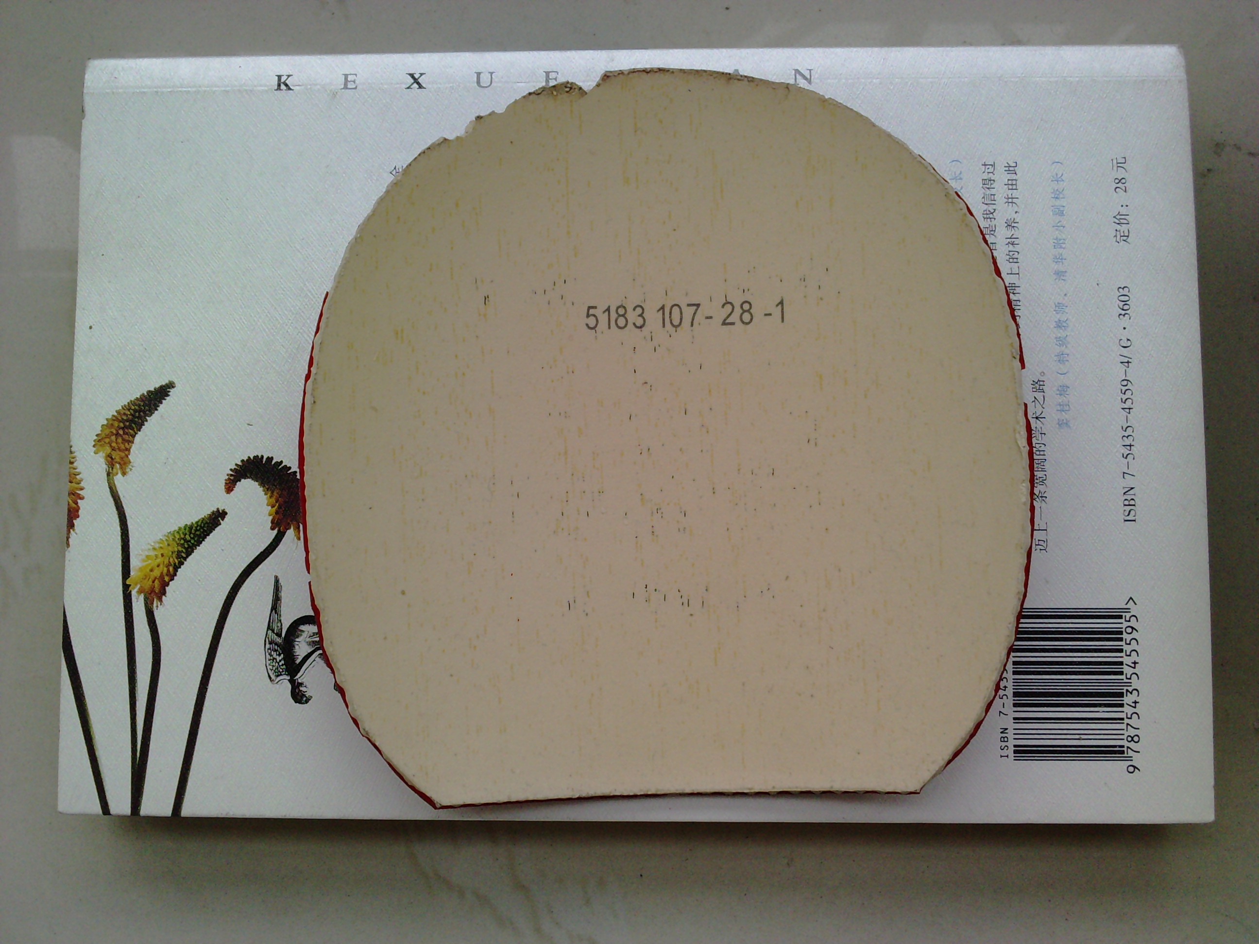 -----------------Ʒ����CLCR��9.8���µ������V1,240Ԫ�����Ͷ����F1,����40�ȸ�һ��,----------------