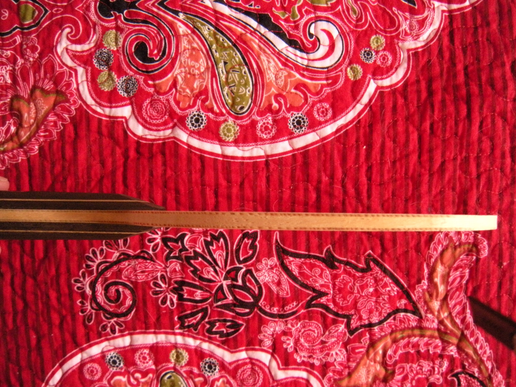 9.8�� ��ľ5��88�ˣ�о��ǳ��á�