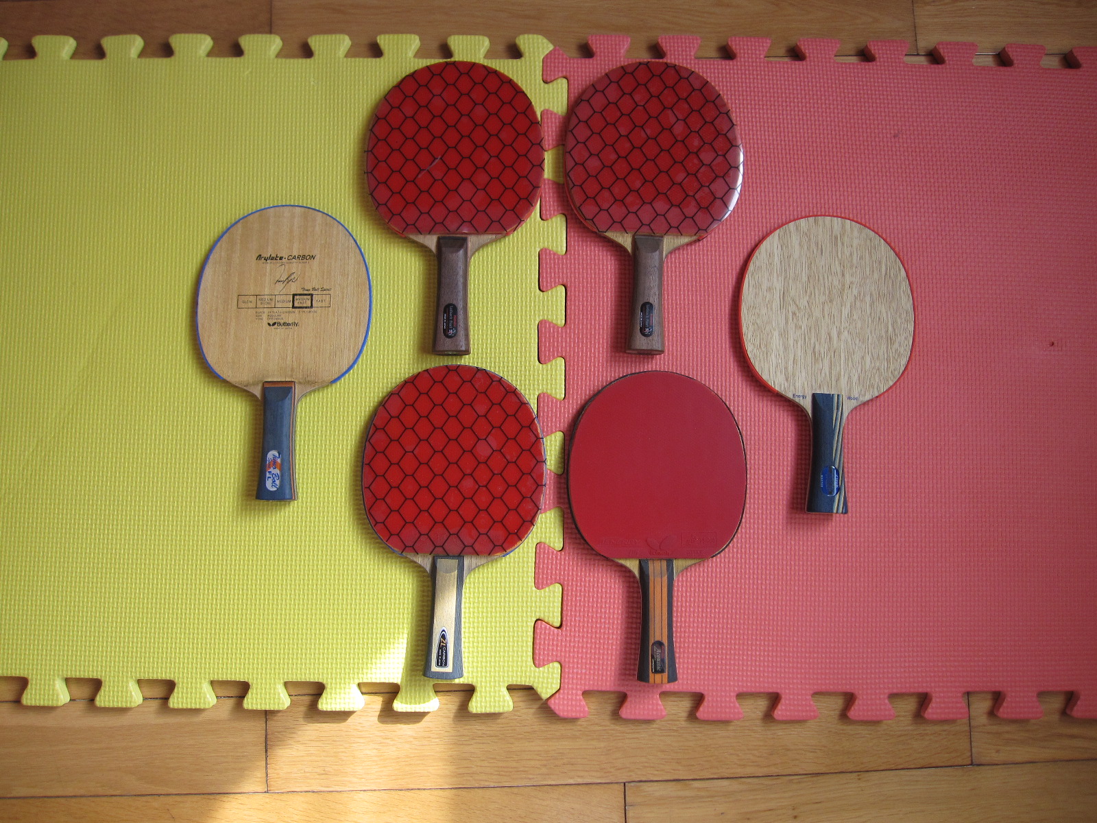 ���˳� �����������׽�  ��������������