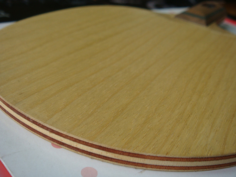 �����°�����ִ��񣡳�ɫ�ѣ�