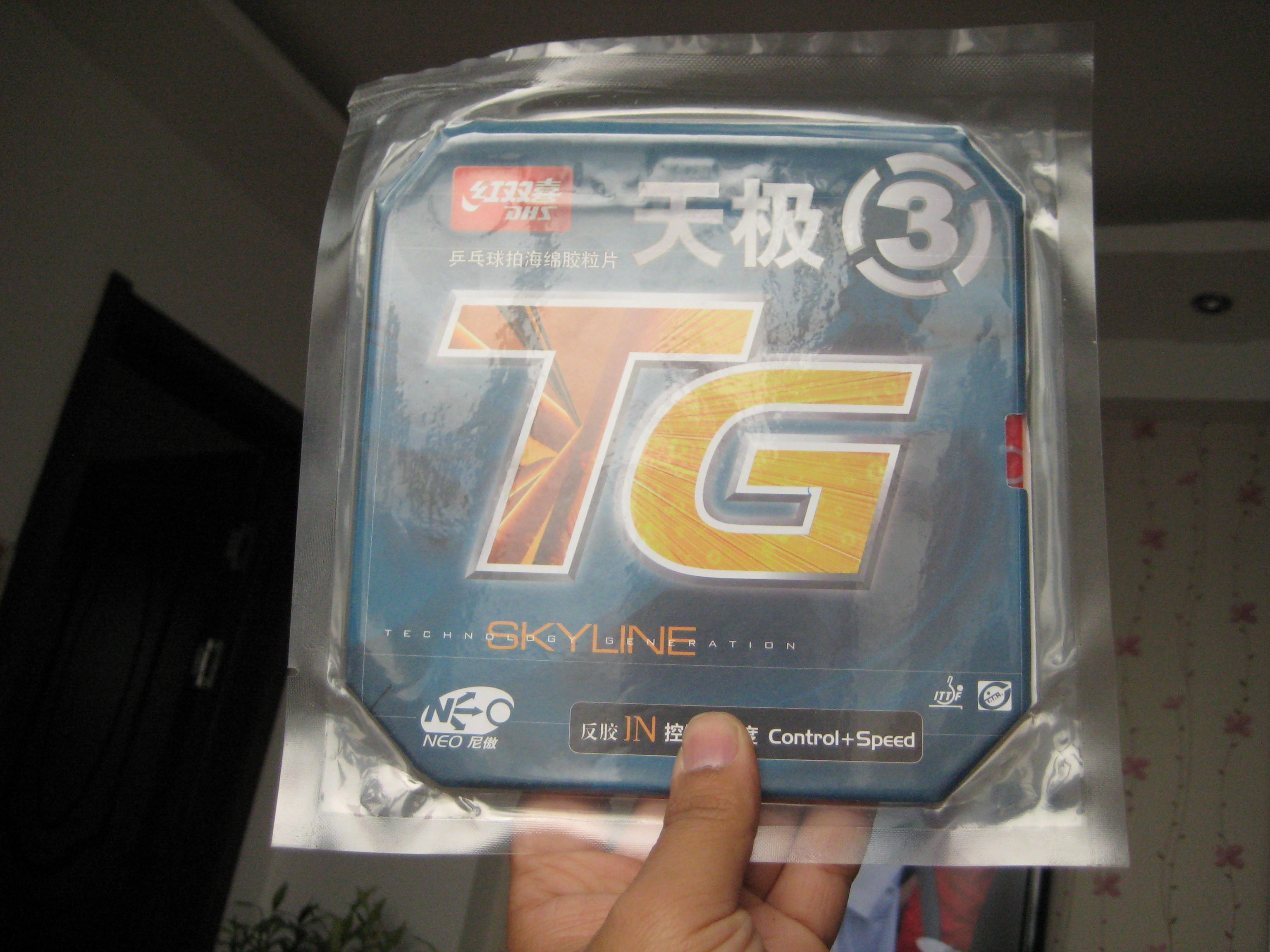 ֹ�գ����������˳����׽�������