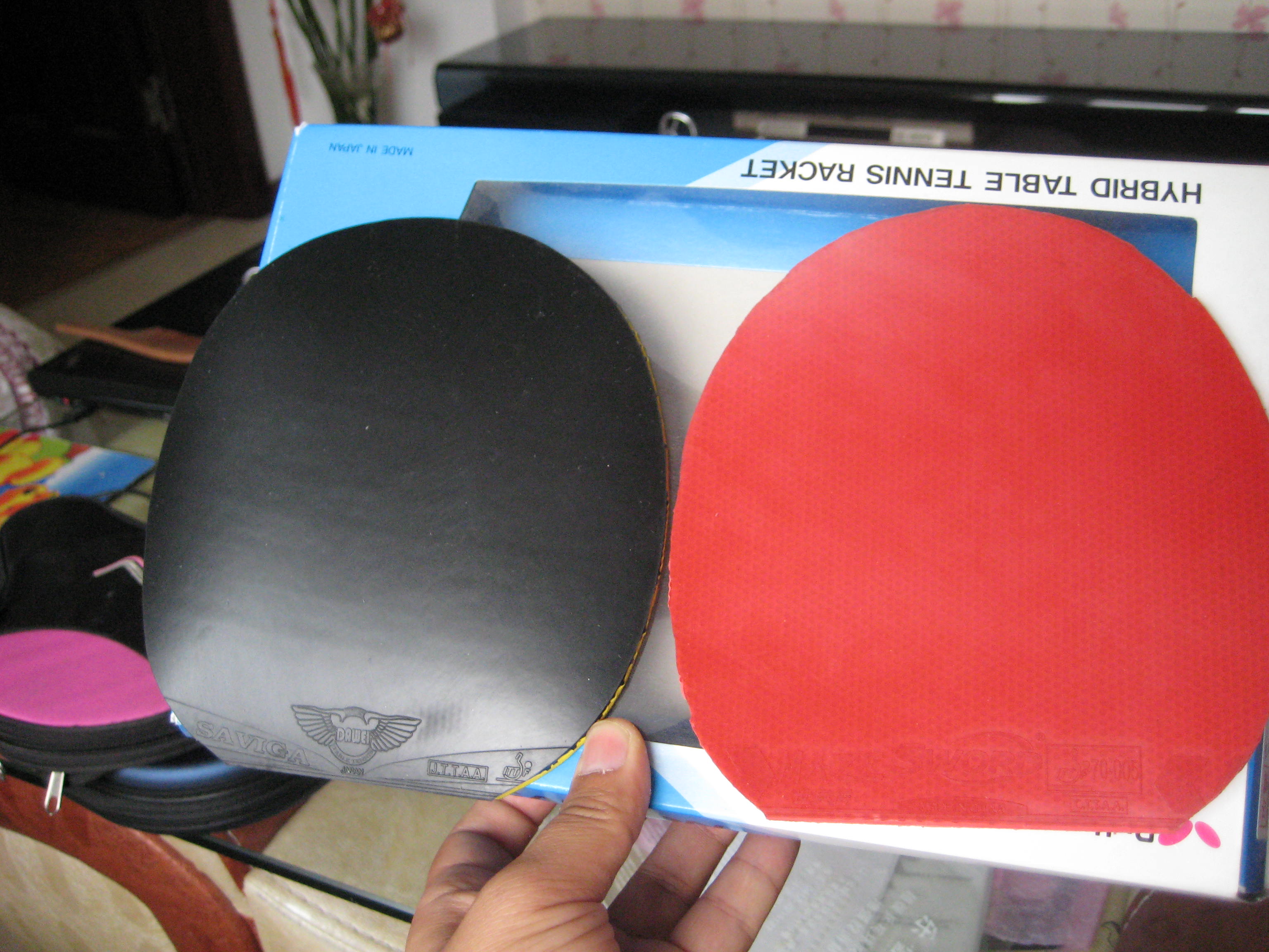 ֹ�գ����������˳����׽�������