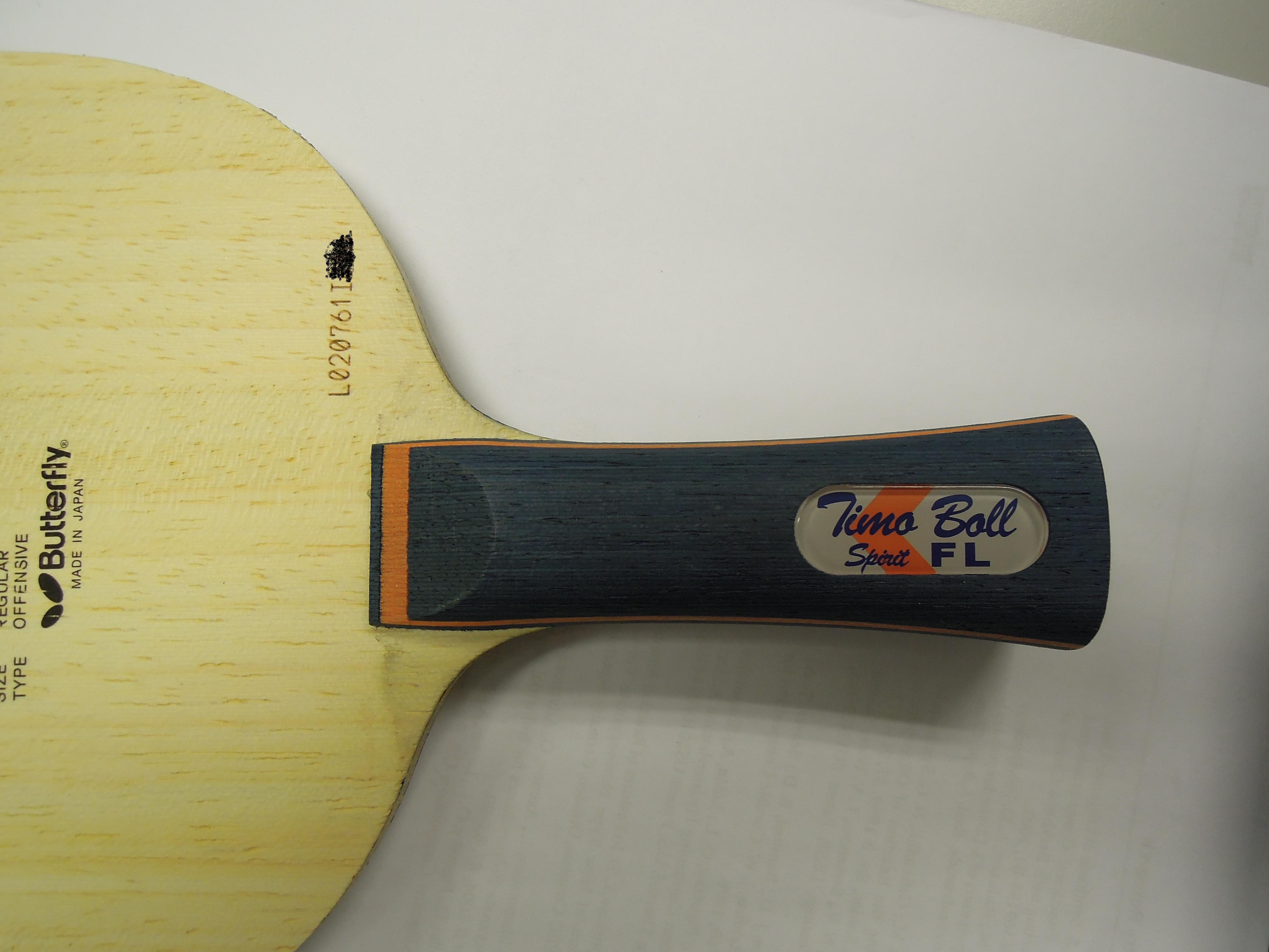 FL����������