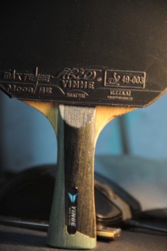 �������ŵͶ˽�Ƥ ��ɫ����