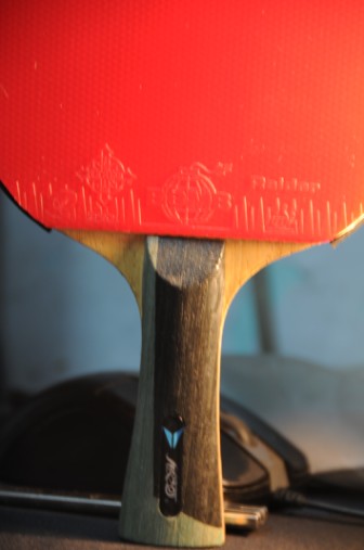 �������ŵͶ˽�Ƥ ��ɫ����