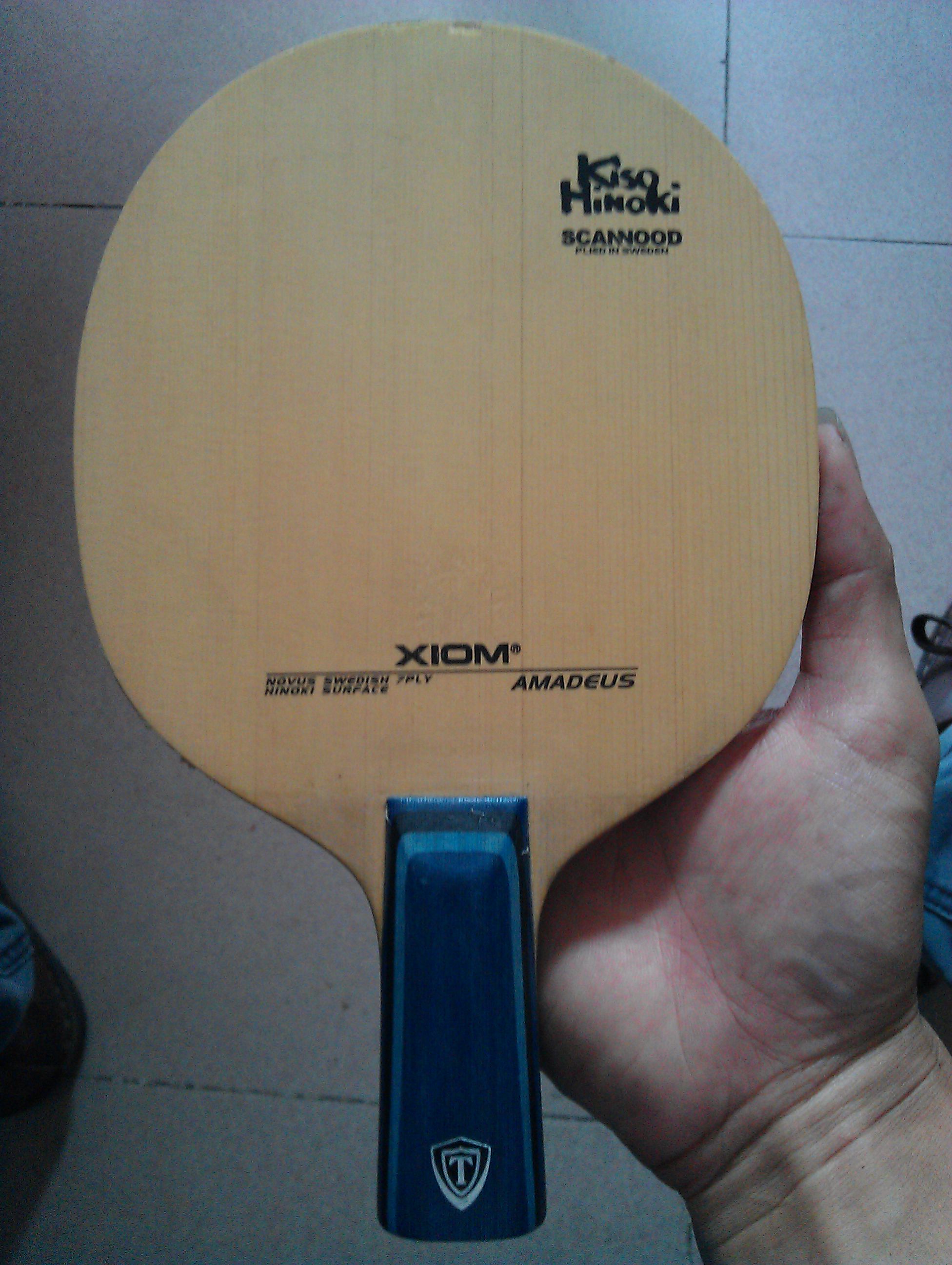 ����XIOM ����AMADEUS�����̼��7.6��YES