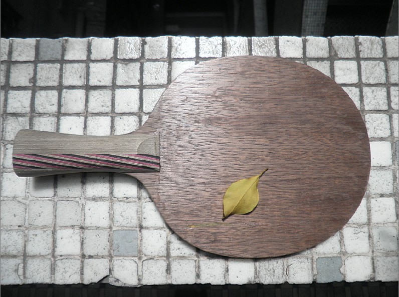 �����ۡ���ɼ���㲻����ŷ��FL��STIGA T5.4