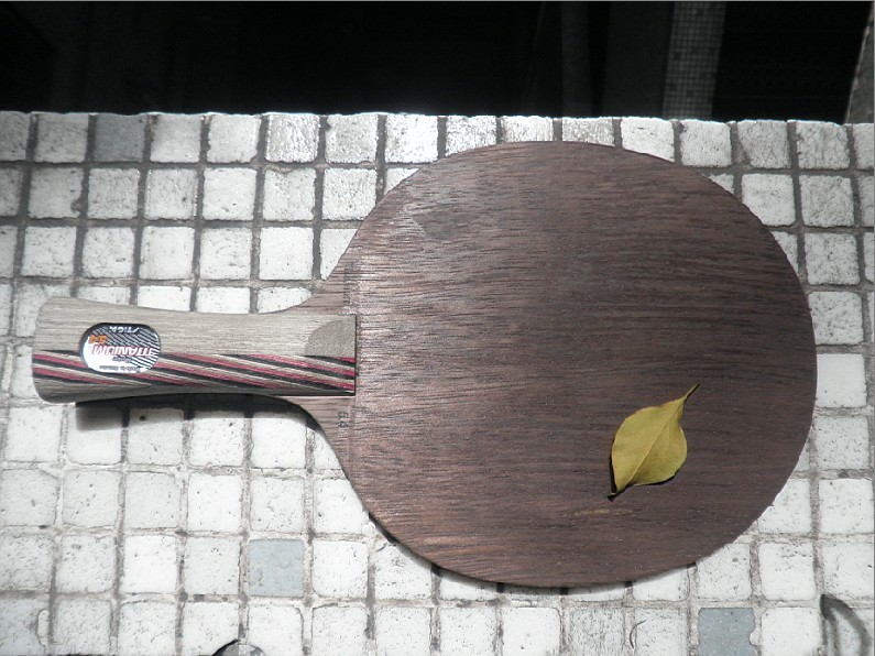 �����ۡ���ɼ���㲻����ŷ��FL��STIGA T5.4