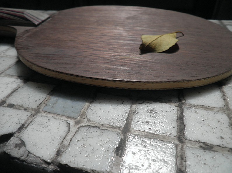 �����ۡ���ɼ���㲻����ŷ��FL��STIGA T5.4