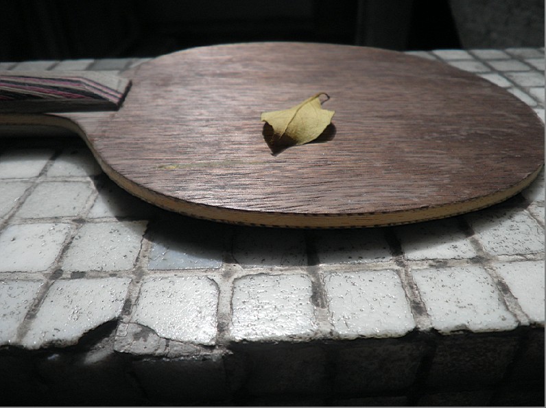 �����ۡ���ɼ���㲻����ŷ��FL��STIGA T5.4