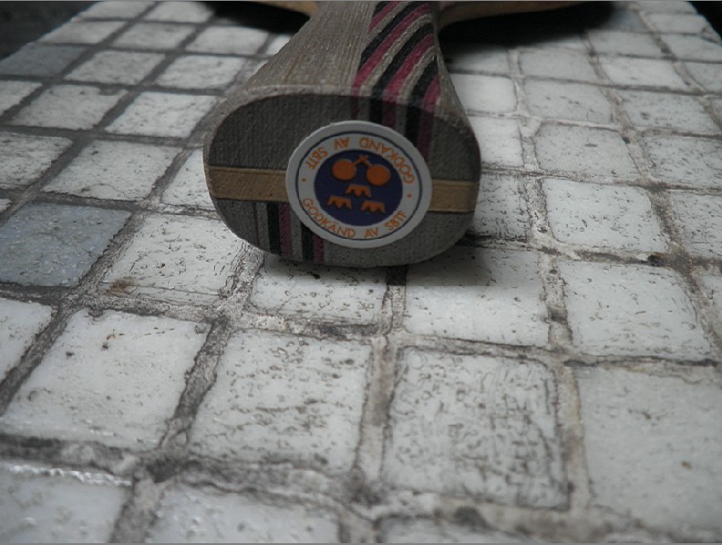 �����ۡ���ɼ���㲻����ŷ��FL��STIGA T5.4