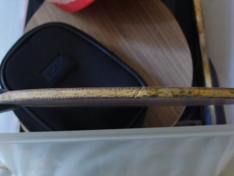 ����ţ���壩���˿����