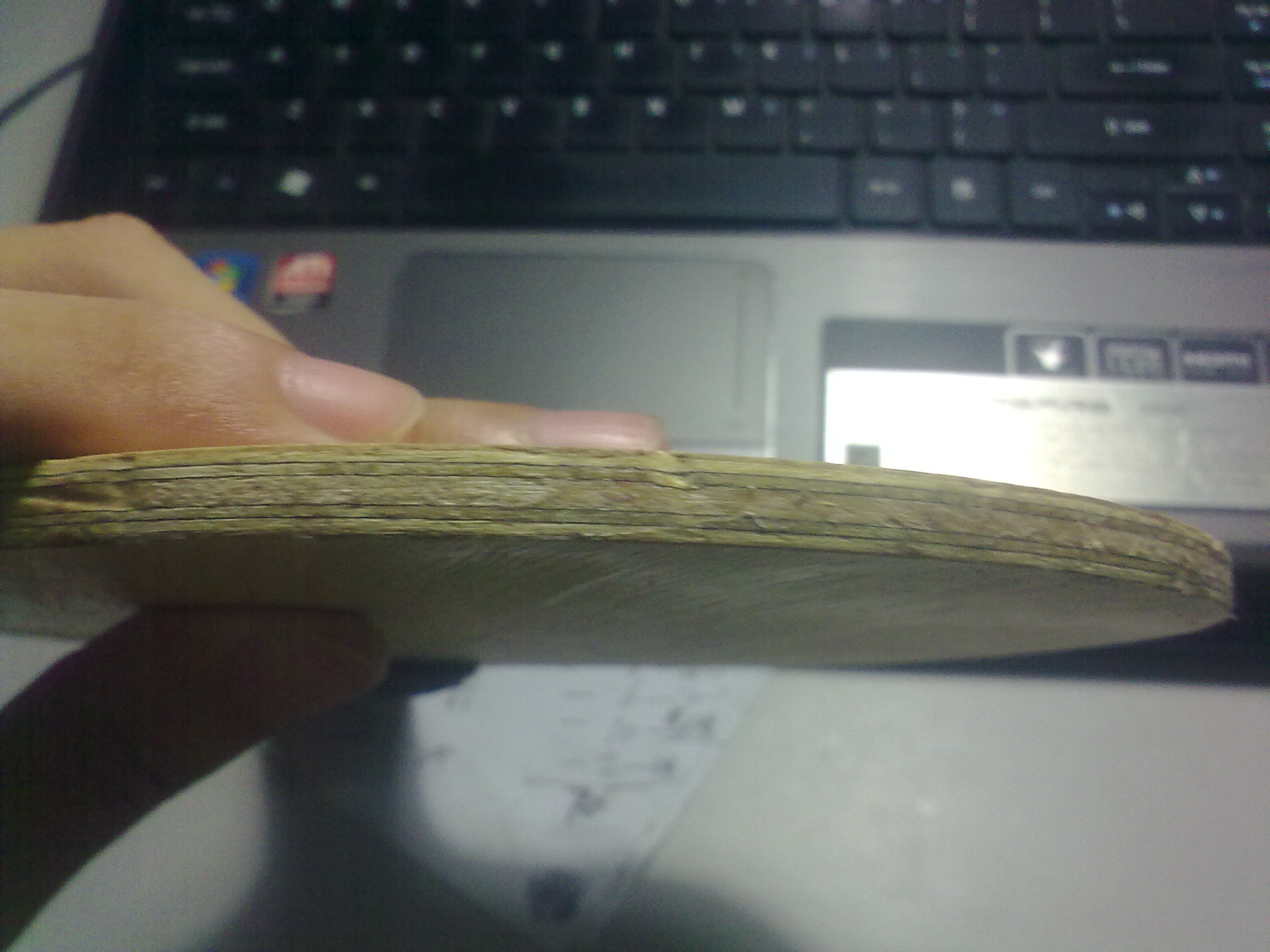 ---------�������C91--------����