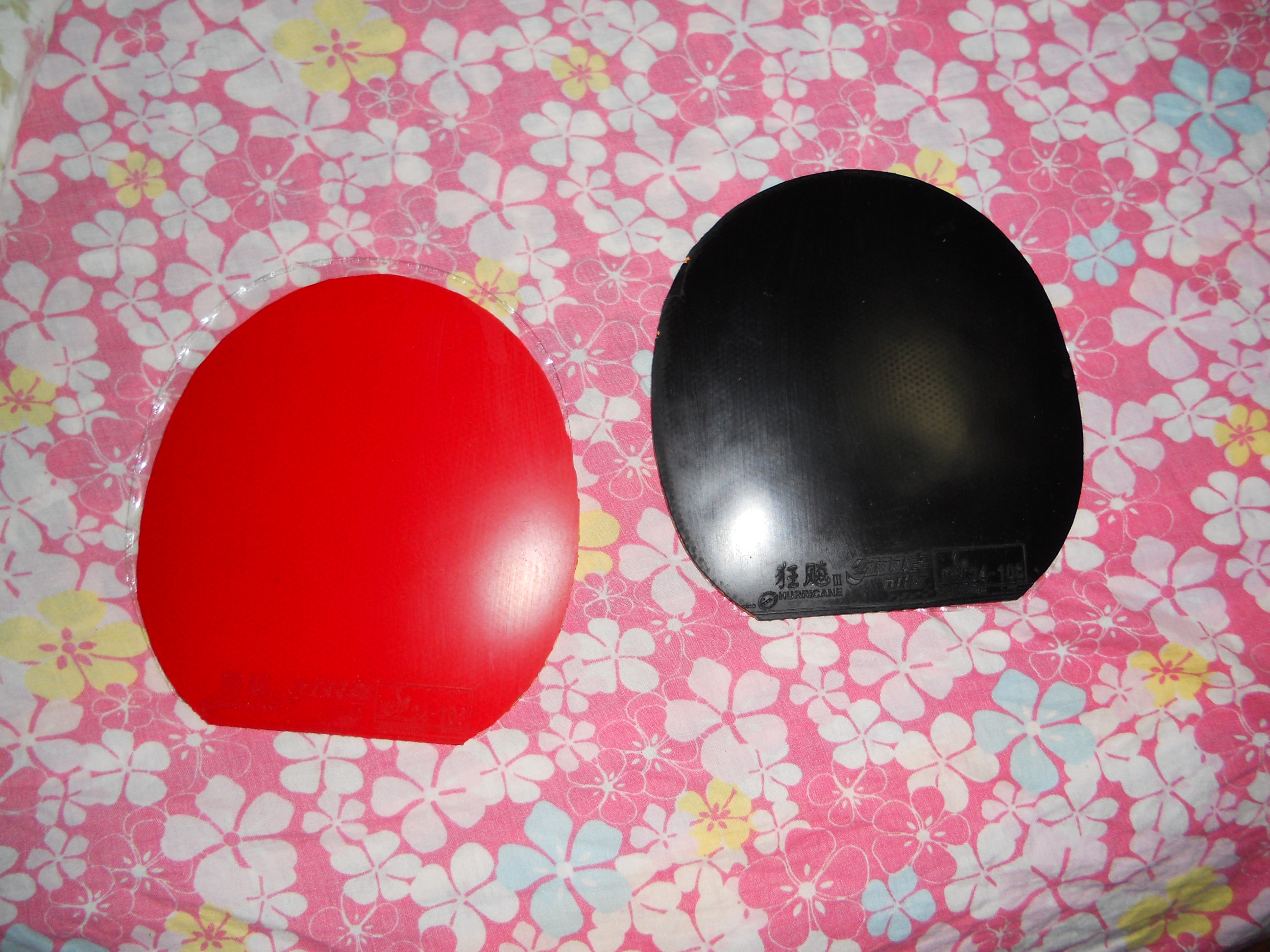 �ϱ�--------------------------------------------------R5