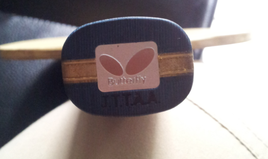 ���˳�9�������Ϻ���23160