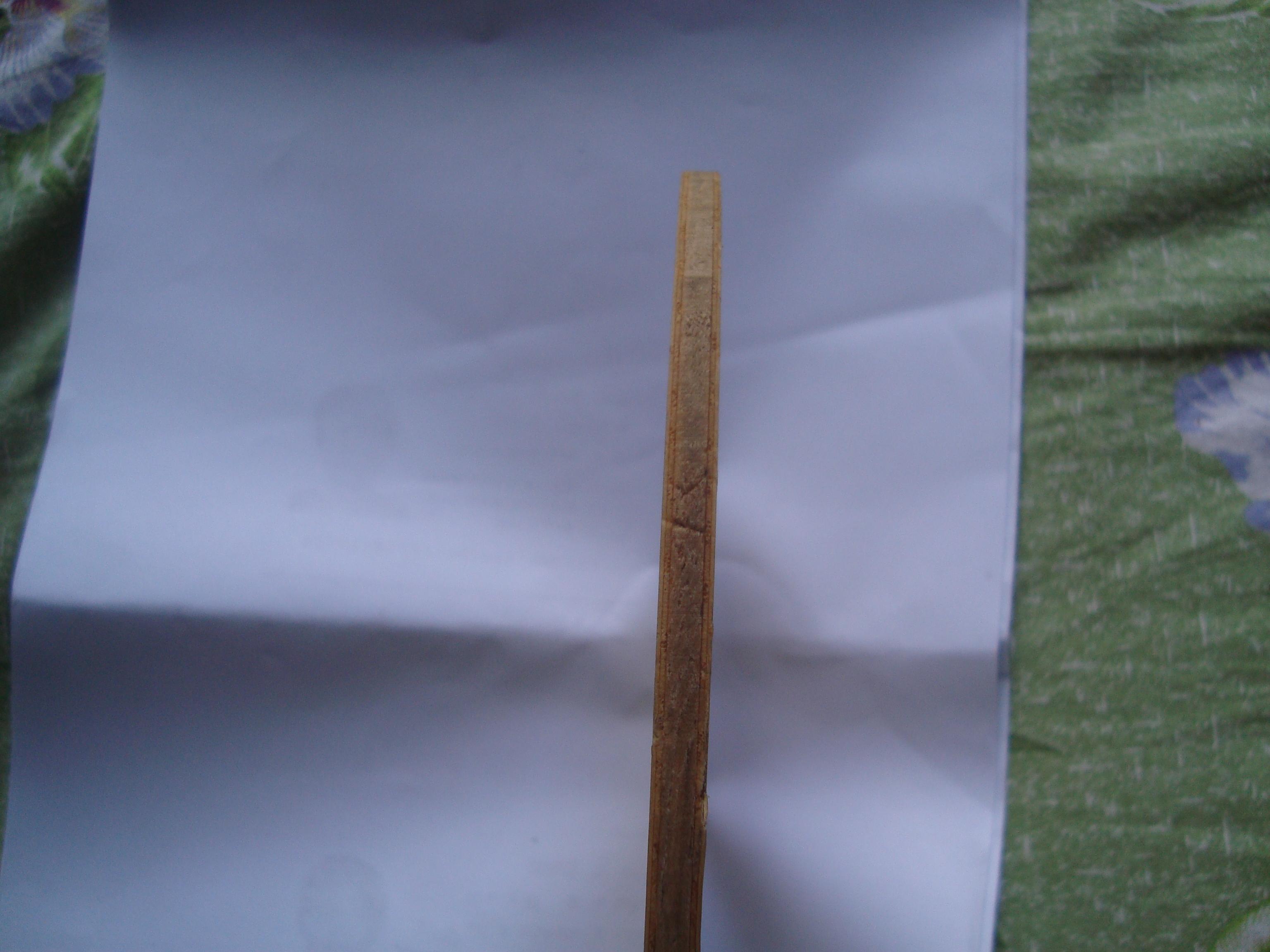 ���³�С����