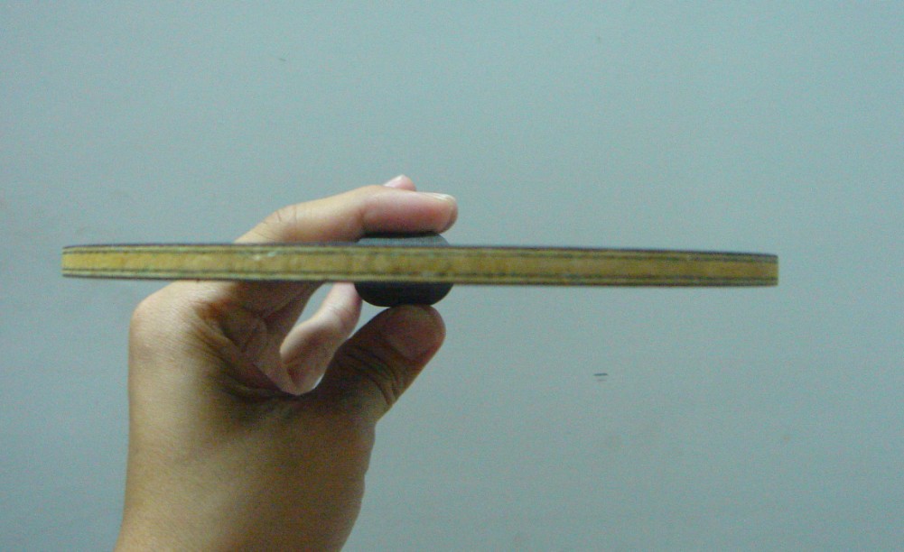 ���·��������������