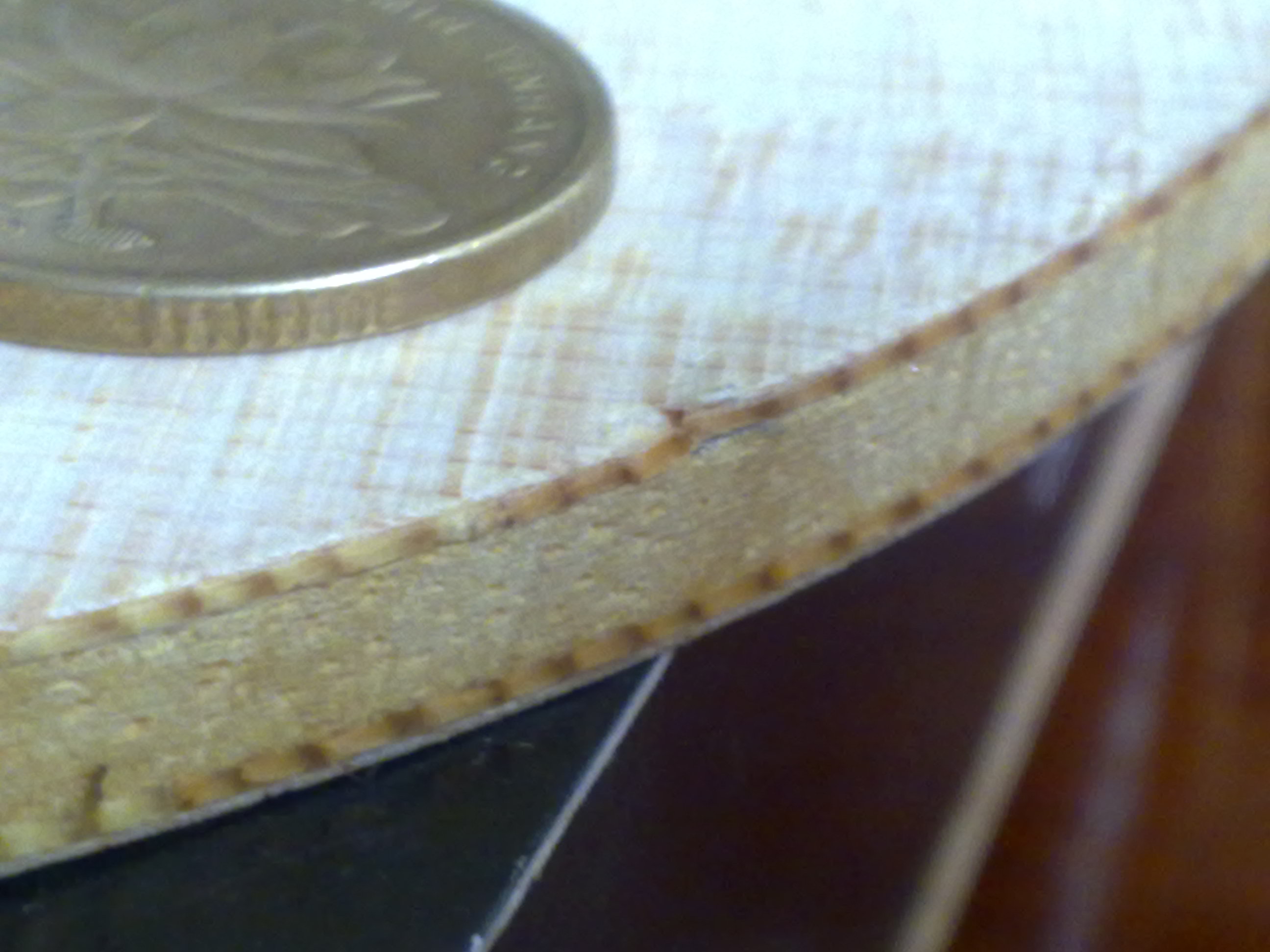 ��91��L��ŷ���ľ��