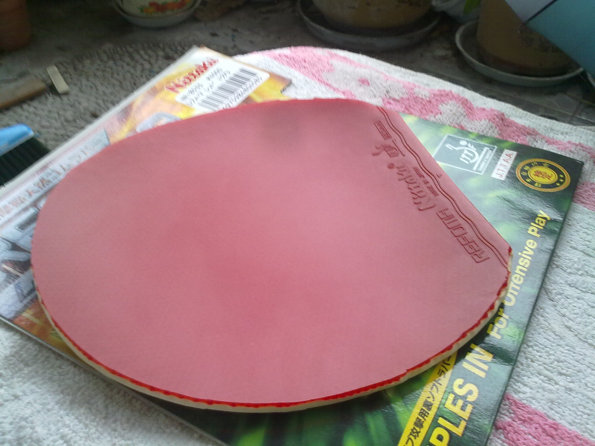 ���˶�ʮ���ӵ��׷���